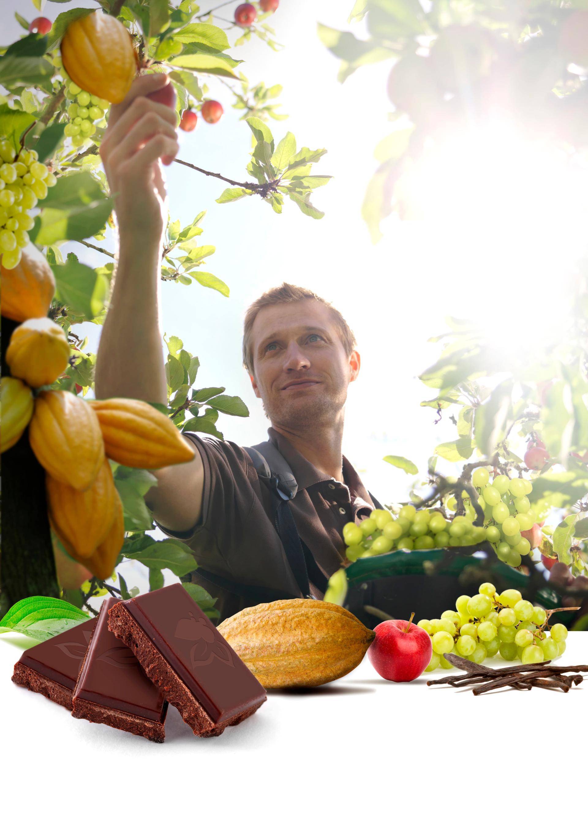 Sweet by Fruits