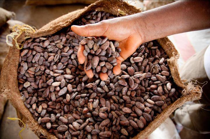 Barry Callebaut Results and Presentations