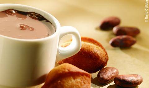 Hot Chocolate