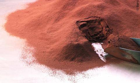 Chocolate Powder