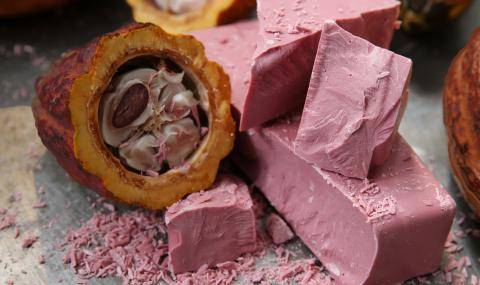 Ruby chocolate with cocoa bean