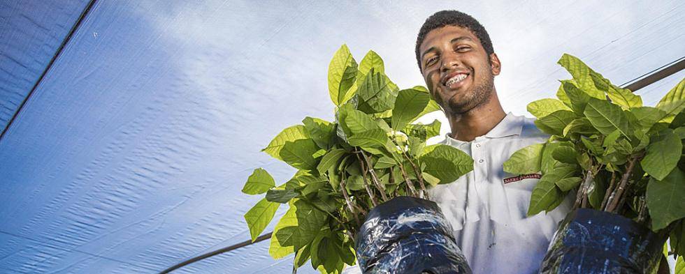 Sustainability in action