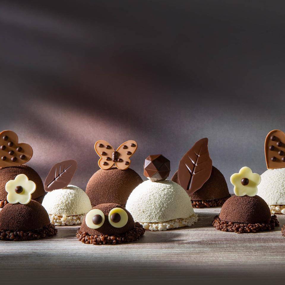 Bombes with chocolate originals chocolate decorations