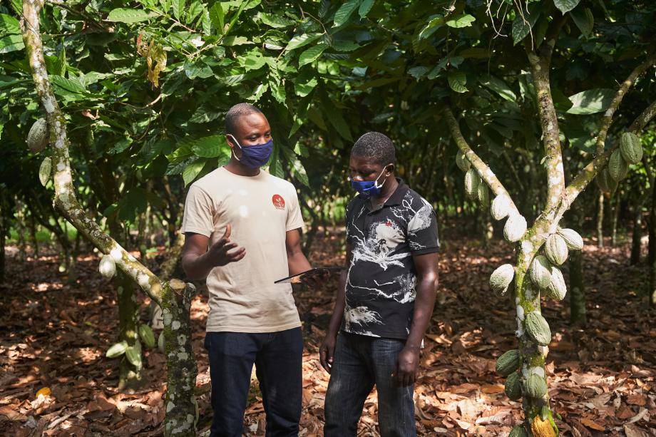 Over 500,000 cocoa farmers out of poverty by 2025