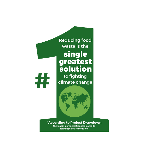 single one solution for climate change