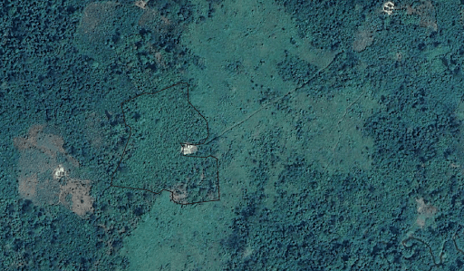 trace cocoa farm