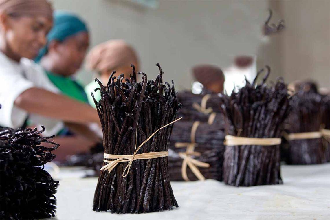 Vanilla - Barry Callebaut