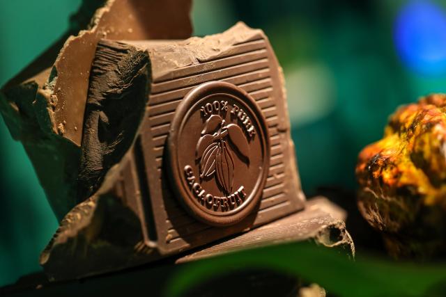 Barry Callebaut Cacaofruit Experience