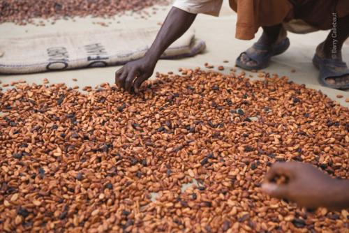 Annual General Meeting 2001 of Barry Callebaut AG